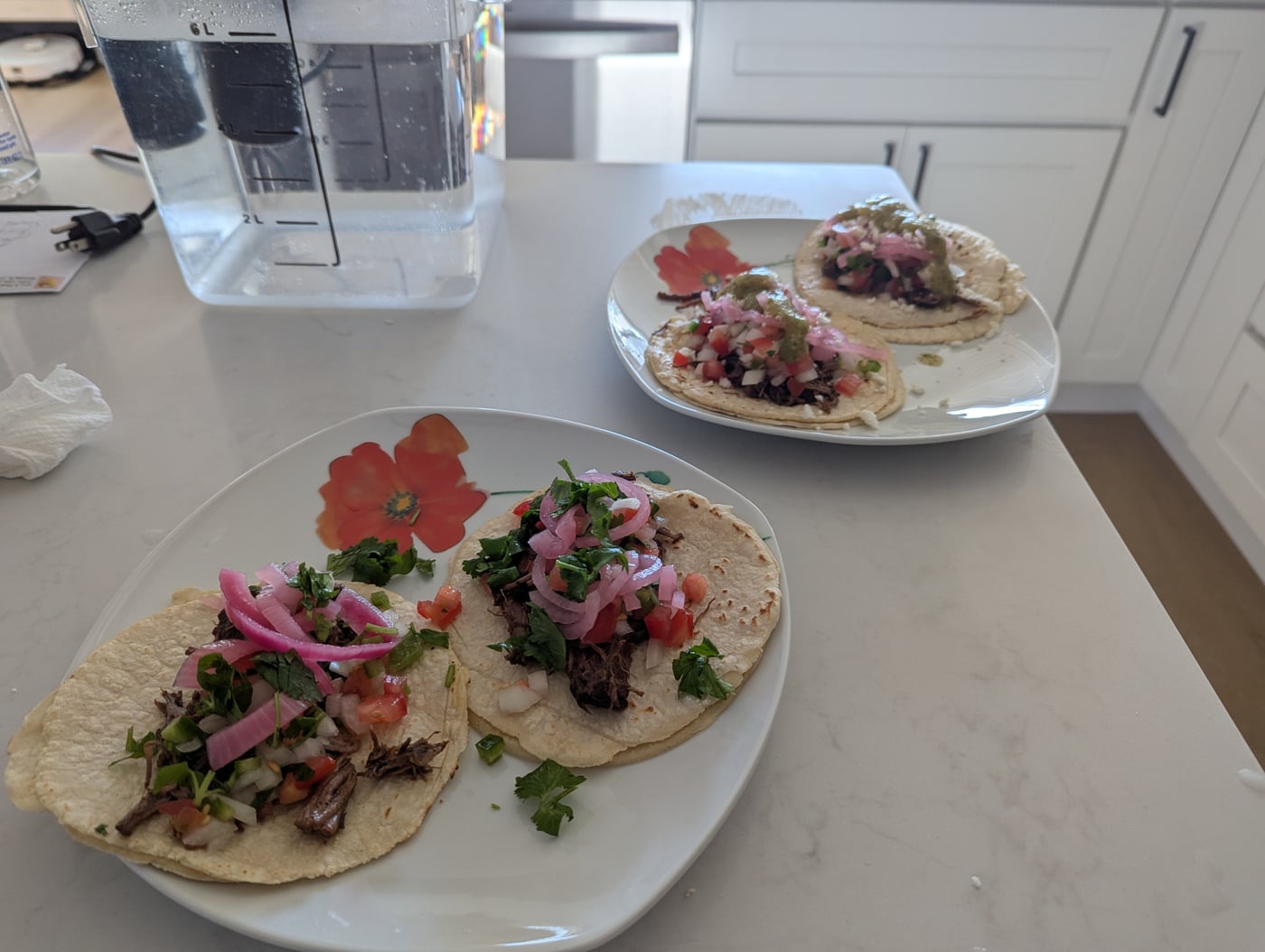 Barbacoa with corn tortillas